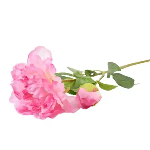Záhradné dekorácie Paeonia 59cm ružová A2010570