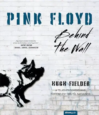 Film, hudba Pink Floyd - Behind The Wall - Hugh Fielder