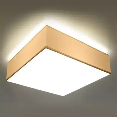Vnútorné osvetlenie Stropná Lampa Montana 35 WHITE A-13