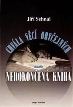 Česká beletria Chvála věcí obyčejných aneb Nedokončená kniha - Jiří Rajlich