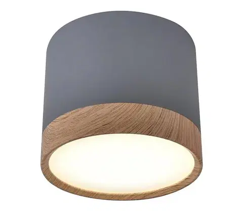 Svietidlá  LED Stropné svietidlo TUBA LED/9W/230V 2275925