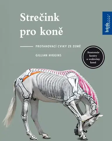 Kone Strečink pro koně - Gillian Higginsová