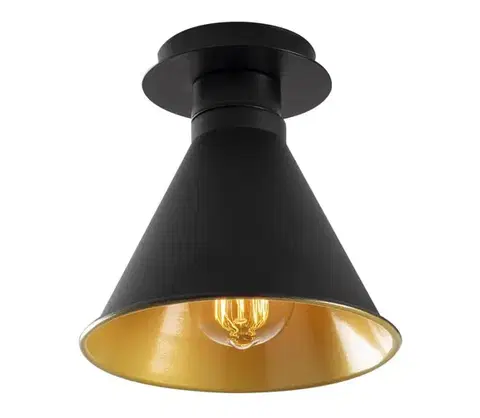 Svietidlá  Stropné svietidlo BERCESTE 1xE27/40W/230V 525NOR1307
