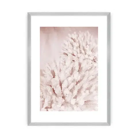 Obrazy Plagát Pastel Pink II