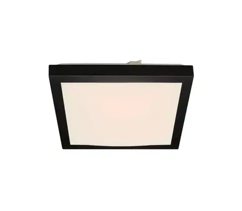 Svietidlá Briloner 3502-015 - LED Stropné svietidlo FLEDO LED/12W/230V 3502-015