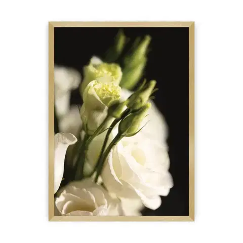 Obrazy Plagát Dark Flowers I