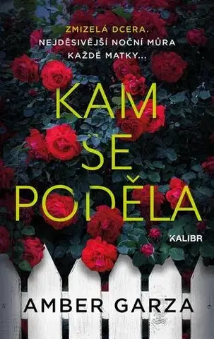 Detektívky, trilery, horory Kam se poděla - Amber Garza