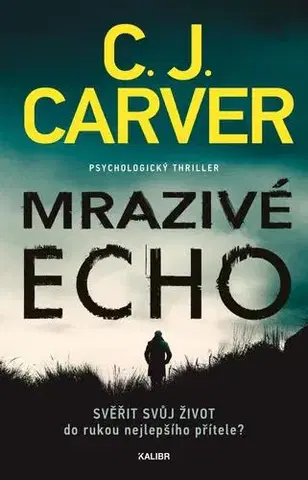 Detektívky, trilery, horory Mrazivé echo - C. J. Carver