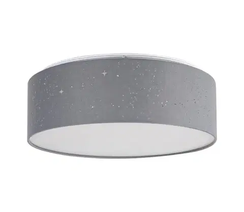 Svietidlá Rabalux - LED stropné svietidlo LED/22W/230V sivé 3307