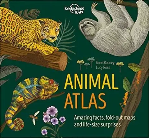 V cudzom jazyku Animal Atlas 1 - Kolektív autorov,Anne Rooney,Lucy Rose