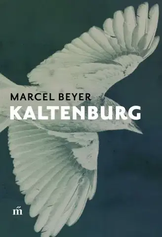 Svetová beletria Kaltenburg - Marcel Beyer