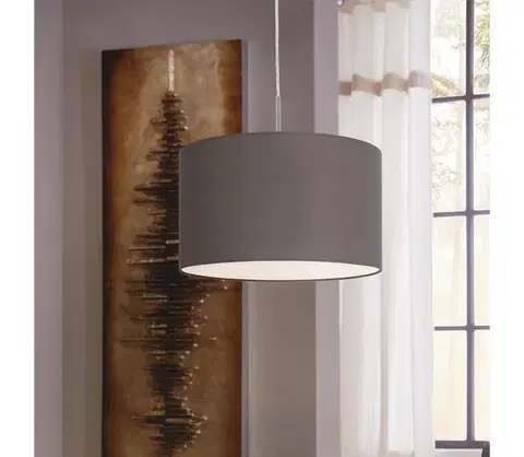Svietidlá Eglo 31574 Luster na lanku PASTERI E27/60W/230V 31574