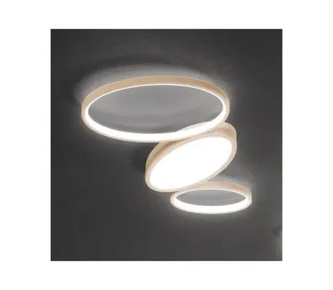 Svietidlá Ondaluce - stmievateľné LED stropné svietidlo RICE LED/25W/230V 38x63 cm zlaté PL.RICE/PC-ORO