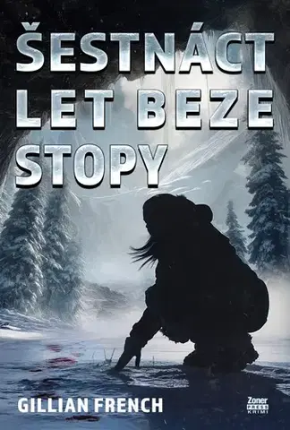 Detektívky, trilery, horory Šestnáct let beze stopy - Gillian French