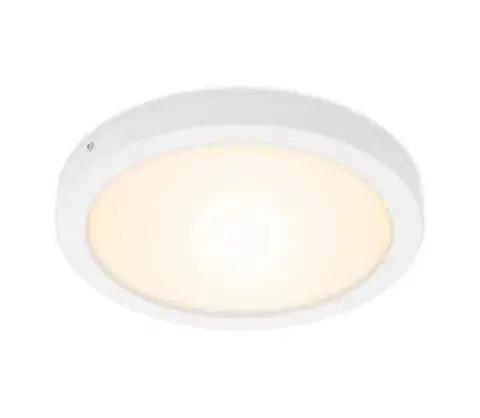 Svietidlá Briloner 7141-016 - LED Stropné svietidlo FIRE LED/21W/230V 7141-016