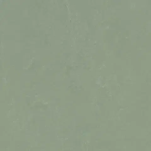 Marmoleum solid concrete FORBO Marmoleum solid concrete Pine forest 3750