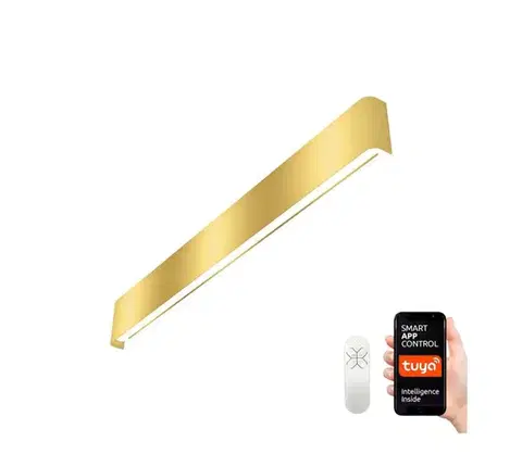 Svietidlá  NEO 07137-G - LED SMART Stmievateľné svietidlo LINEA LED/40W/230V + DO 76 cm 07137-G