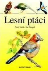 Vtáky, hydina Lesní ptáci - Jan Dungel