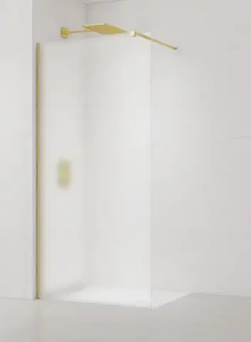 Sprchové dvere Sprchová zástena walk-in 110 cm SAT Walk-In SATBWI110MSPRMO SATBWI110MSPRMO