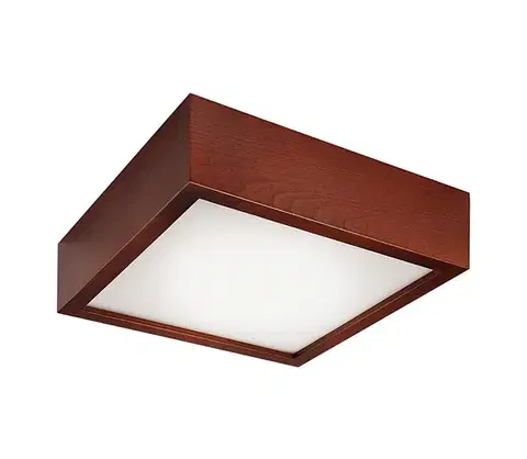 Svietidlá  Stropné svietidlo 2xE27/60W/230V LD.PD 9.2