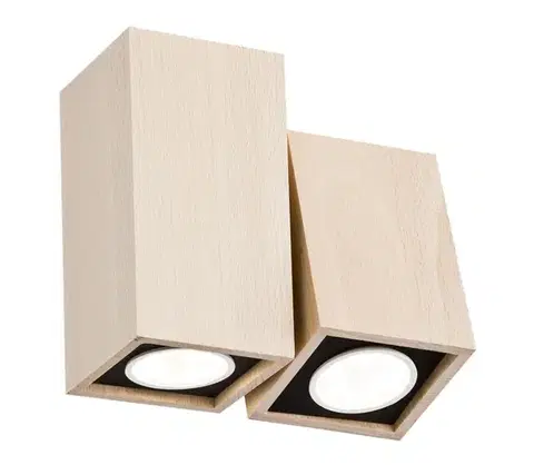 Svietidlá Argon 796 - Stropné svietidlo MONTREAL 2xGU10/5W/230V buk 796