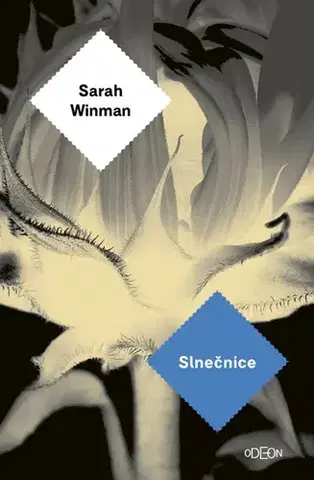 Svetová beletria Slnečnice - Sarah Winman,Lucia Lukáčová