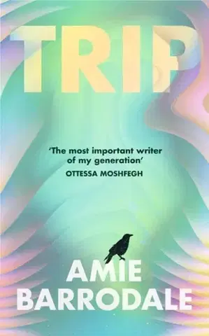 Beletria Trip - Amie Barrodale