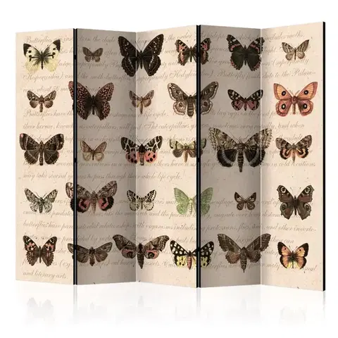 Paravány Paraván Retro Style: Butterflies Dekorhome