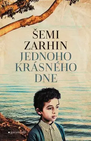 Svetová beletria Jednoho krásného dne - Šemi Zarhin,Alžběta Glancová