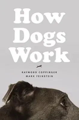 Psy, kynológia How Dogs Work - Raymond Coppinger,Mark Feinstein