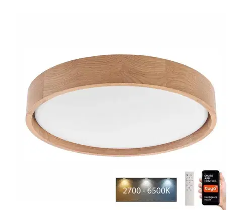 Svietidlá BRILAGI - LED stropné svietidlo MANAROLA SMART LED/24W/230V + DO Tuya 