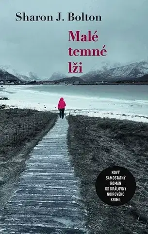 Detektívky, trilery, horory Malé temné lži - Sharon Bolton