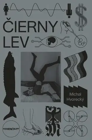 Poézia - antológie Čierny lev - Michal Hvorecký