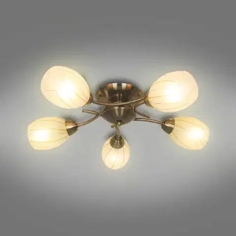 Lampy do obývačky Stropné svietidlo CL16173-5 PL5