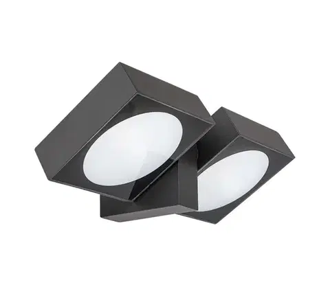 LED osvetlenie Rabalux 77101 - LED Vonkajšie nástenné svietidlo TELDE 2xLED/7W/230V IP54 antracit 77101
