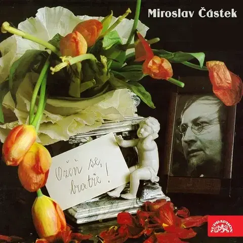 Poézia SUPRAPHON a.s. Ožeň se, bratře