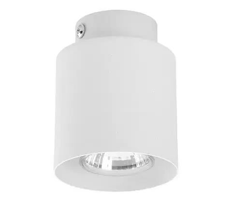 Svietidlá  Bodové svietidlo VICO WHITE 1xGU10/10W/230V 3406