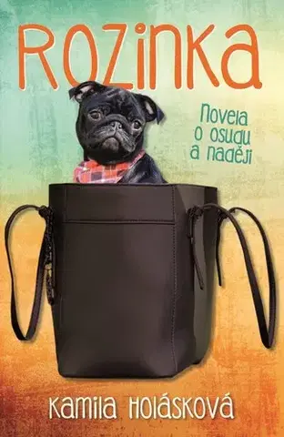 Novely, poviedky, antológie Rozinka - Kamila Holásková