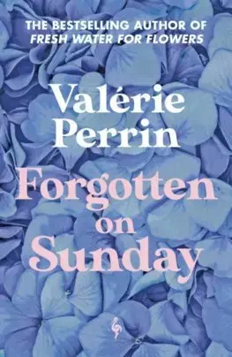 Svetová beletria Forgotten on Sunday - Valérie Perrin,Hildegarde Serle