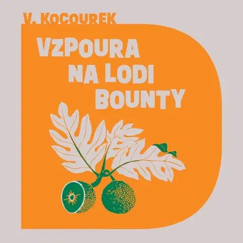 Beletria - ostatné Tympanum Vzpoura na lodi Bounty