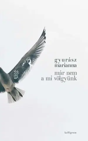 Svetová poézia Már nem a mi völgyünk - Marianna Gyurász