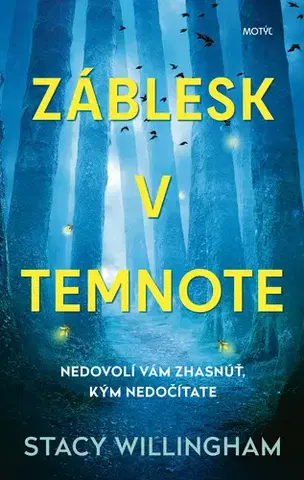 Detektívky, trilery, horory Záblesk v temnote - Stacy Willingham,Martina Šturcelová