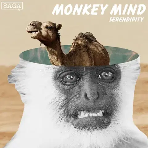 Humor a satira Saga Egmont Serendipity (EN)