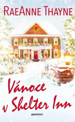 Romantická beletria Vánoce v Shelter Inn - Thayne RaeAnne