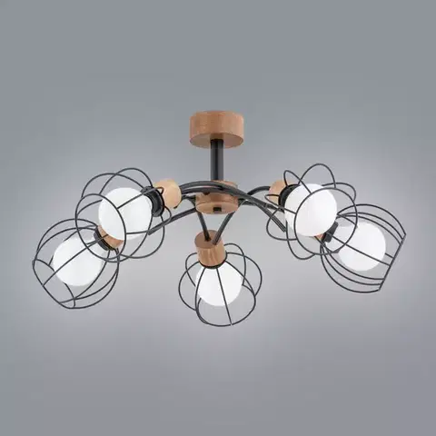Moderné lampy do obývačky Luster Paloma 28385 LW5
