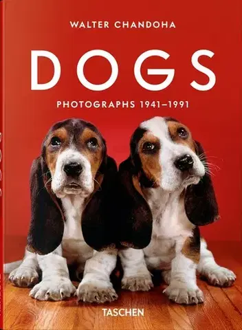 Fotografia Walter Chandoha. Dogs. Photographs 1941–1991