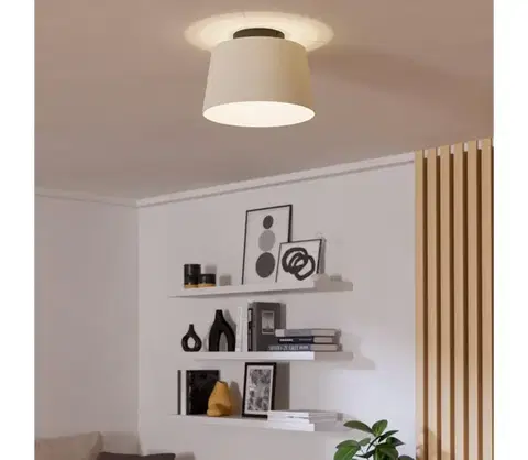 Svietidlá Eglo 901259 - Stropné svietidlo FEBRES 1xE27/60W/230V 901259
