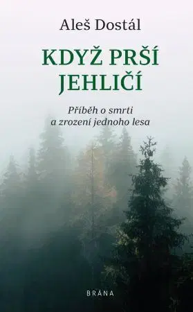 Česká beletria Když prší jehličí - Aleš Dostál
