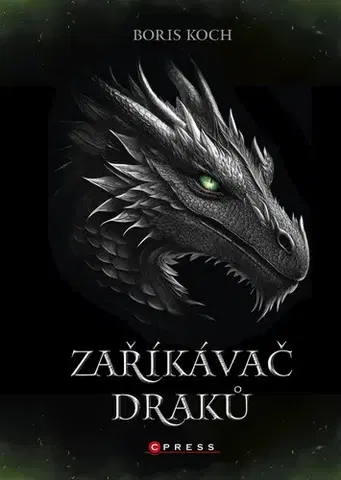 Young adults Zaříkávač draků - Boris Koch