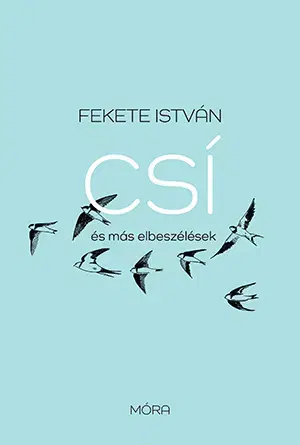 Pre deti a mládež - ostatné Csí és más elbeszélések - felújított kiadás - István Fekete